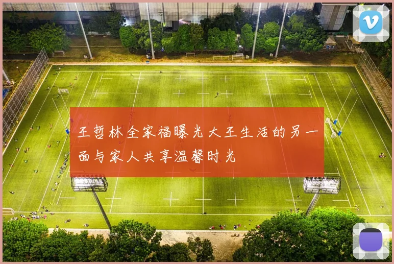 王哲林全家福曝光大王生活的另一面与家人共享温馨时光
