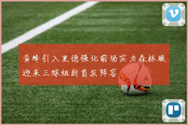 黄蜂引入里德强化前场实力森林狼迎来三球组新首发阵容